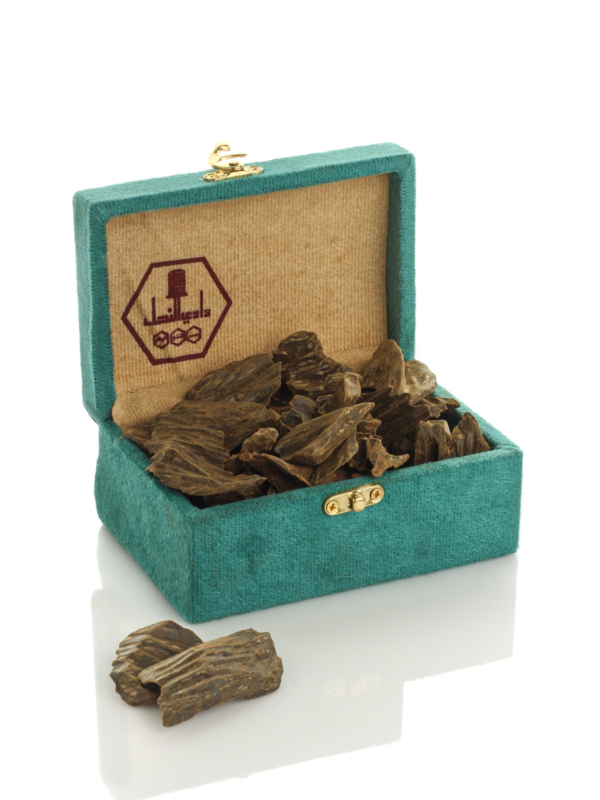 عود موركي ملكي – عنوان الفخامة الشرقية