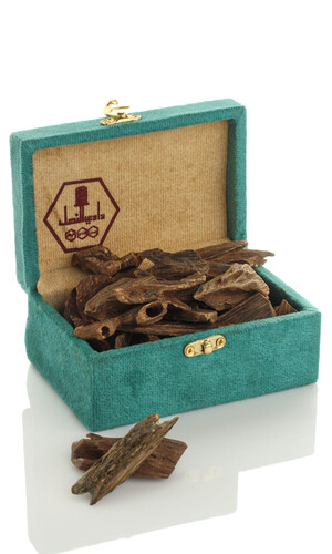 عود 31س – خشب فاخر بنفحات عميقة وثبات مذهل