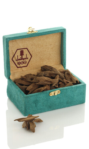 عود أزرق موركي 2 – جودة تتحدث بلونها